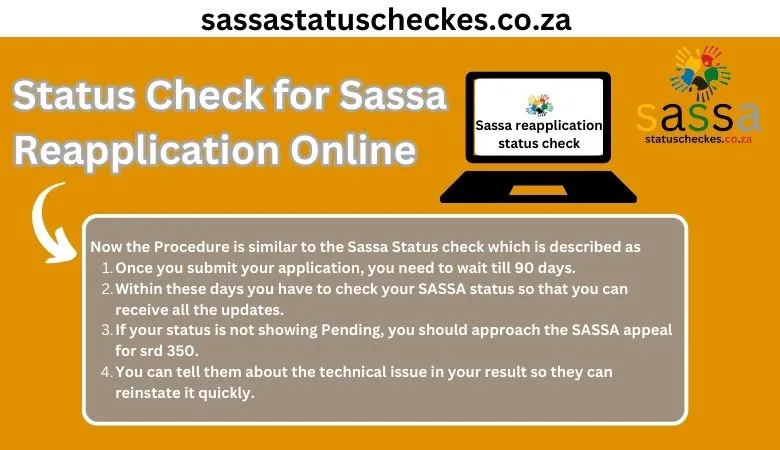 sassa reapplication grant status check