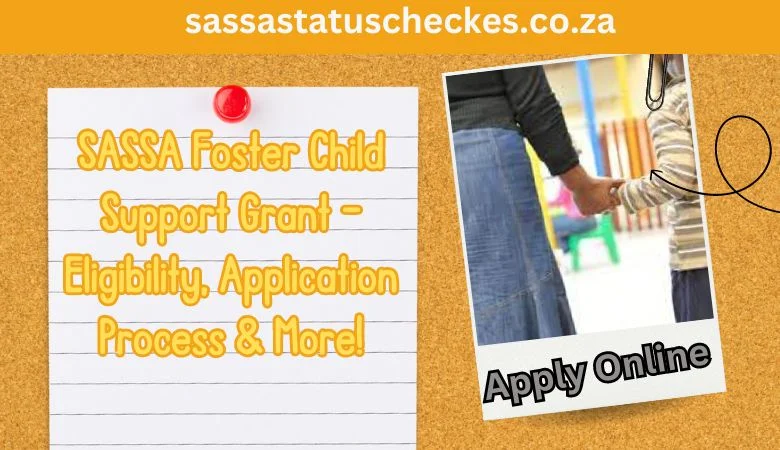 sassa foster child support grant 2024 status check